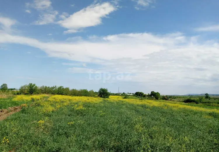 110 000 AZN - 0 m² Obyekt / Ofis , Şabran