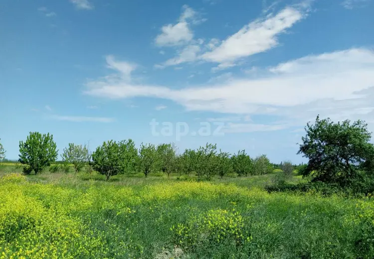 110 000 AZN - 0 m² Obyekt / Ofis , Şabran