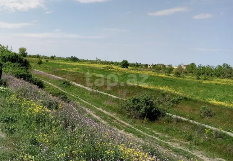 110 000 AZN - 0 m² Obyekt / Ofis , Şabran