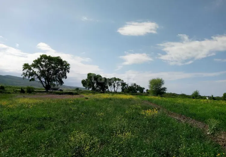 110 000 AZN - 0 m² Obyekt / Ofis , Şabran