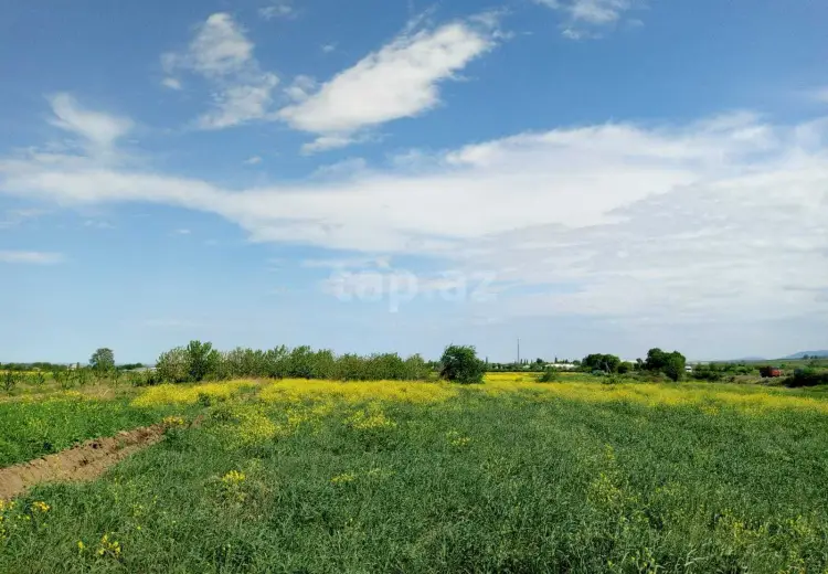 110 000 AZN - 0 m² Obyekt / Ofis , Şabran