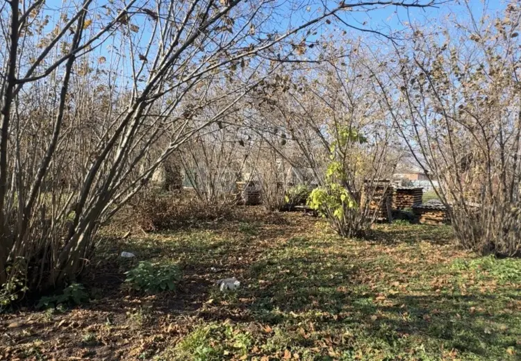 48 000 AZN - 0 m² Obyekt / Ofis , Qəbələ
