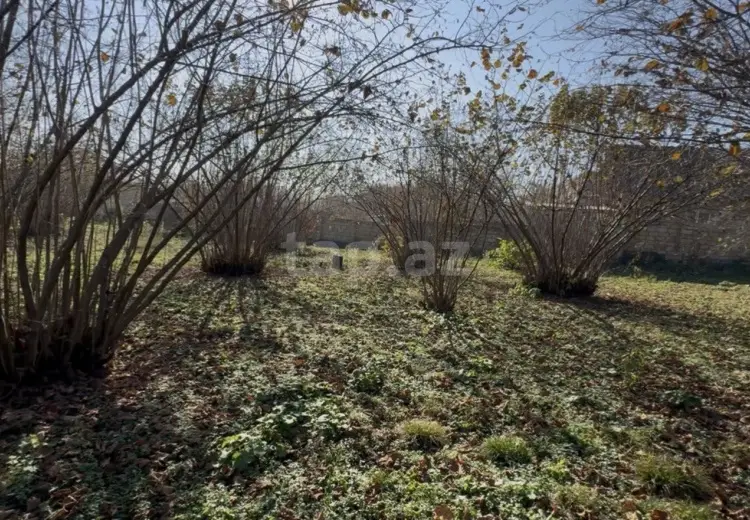 48 000 AZN - 0 m² Obyekt / Ofis , Qəbələ