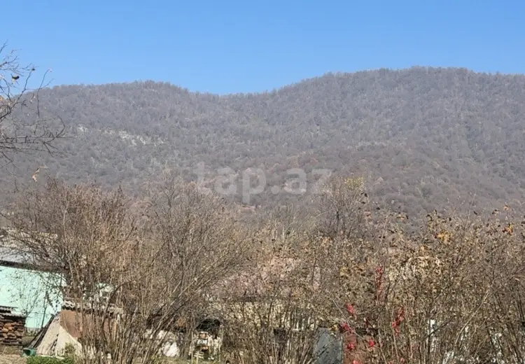 48 000 AZN - 0 m² Obyekt / Ofis , Qəbələ