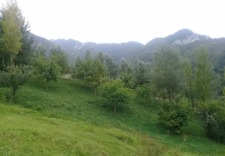 36 000 AZN - 16 sot Torpaq Satılır, İsmayıllı