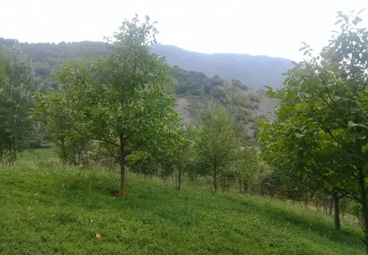 36 000 AZN - 16 sot Torpaq Satılır, İsmayıllı