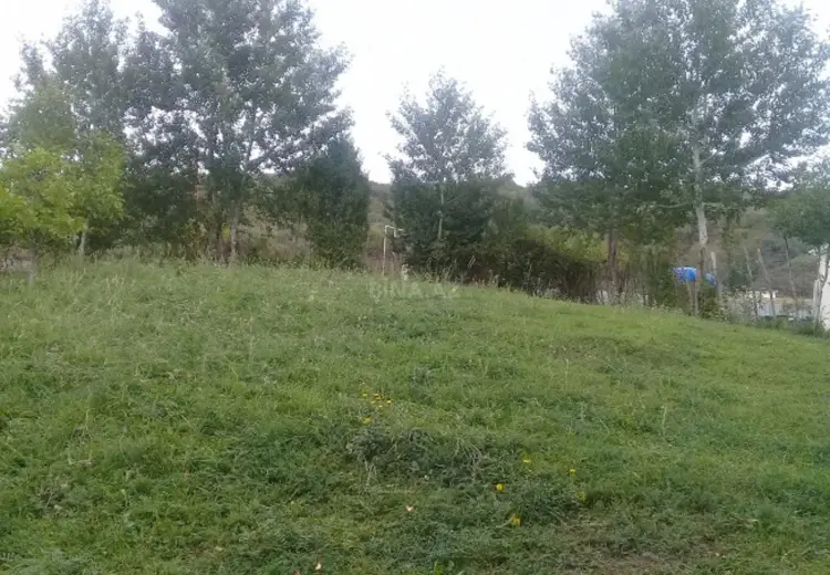 36 000 AZN - 16 sot Torpaq Satılır, İsmayıllı