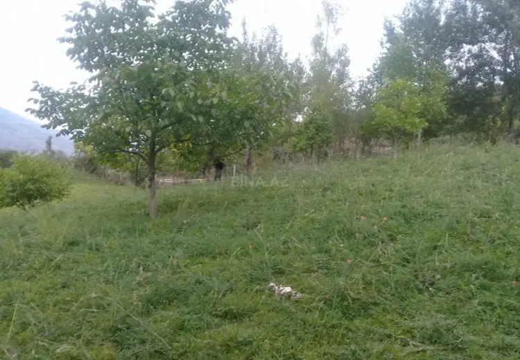 36 000 AZN - 16 sot Torpaq Satılır, İsmayıllı