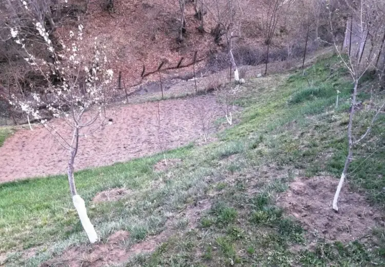 88 000 AZN - 18 sot Torpaq Satılır, Quba