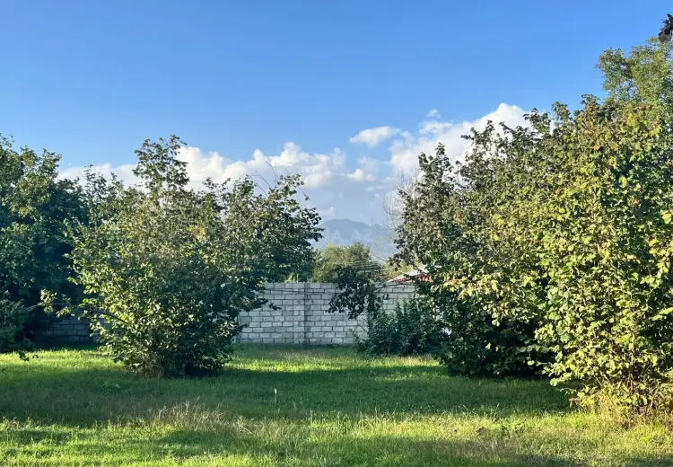 21 000 AZN - 10.5 sot Torpaq Satılır, Qəbələ