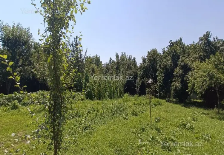 4 400 AZN - 15 sot Torpaq Satılır, Qəbələ