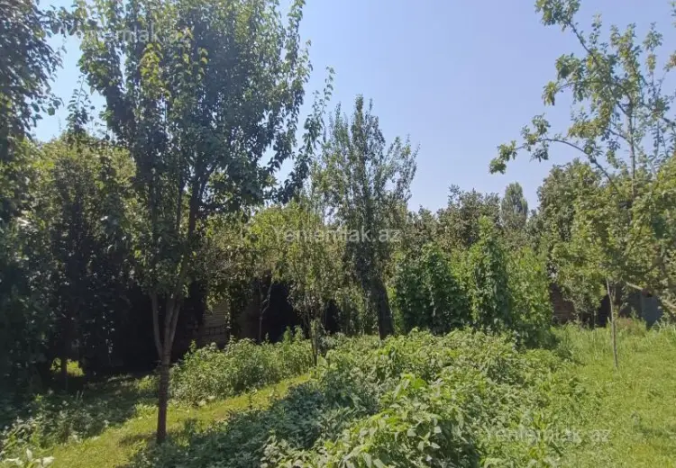 4 400 AZN - 15 sot Torpaq Satılır, Qəbələ