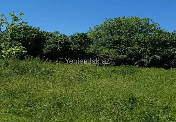 4 400 AZN - 15 sot Torpaq Satılır, Qəbələ