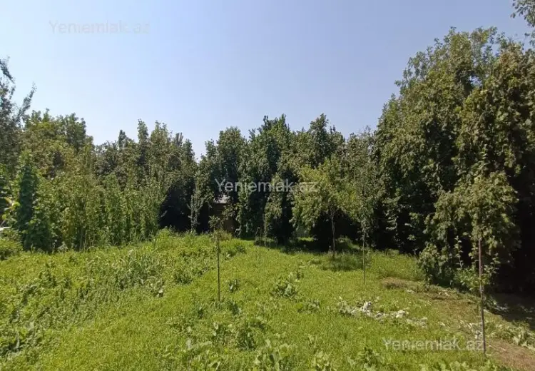 4 400 AZN - 15 sot Torpaq Satılır, Qəbələ