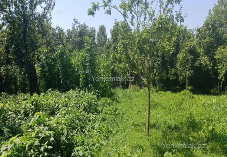 4 400 AZN - 15 sot Torpaq Satılır, Qəbələ