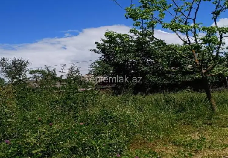 4 400 AZN - 15 sot Torpaq Satılır, Qəbələ