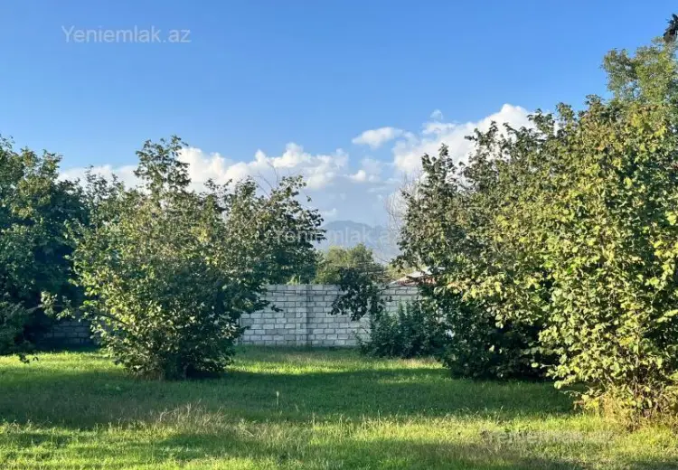 21 000 AZN - 10.5 sot Torpaq Satılır, Qəbələ