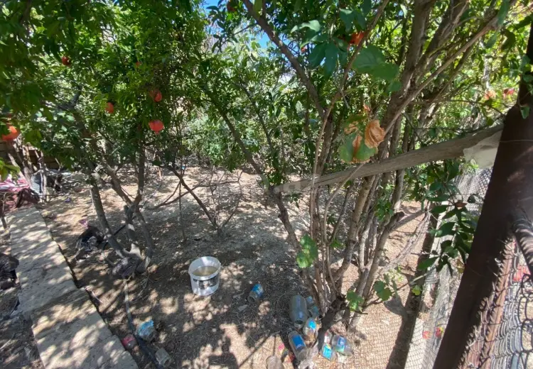 60 000 AZN - 0 m² Obyekt / Ofis , Bakı