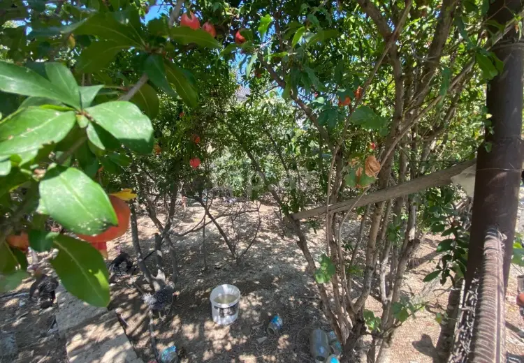 60 000 AZN - 0 m² Obyekt / Ofis , Bakı