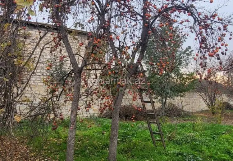 84 000 AZN - 3 otaqlı mənzil Satılır, Bərdə