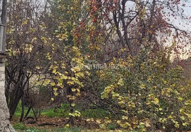 84 000 AZN - 3 otaqlı mənzil Satılır, Bərdə