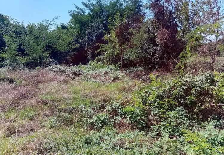 98 000 AZN - 0 m² Obyekt / Ofis , Qusar