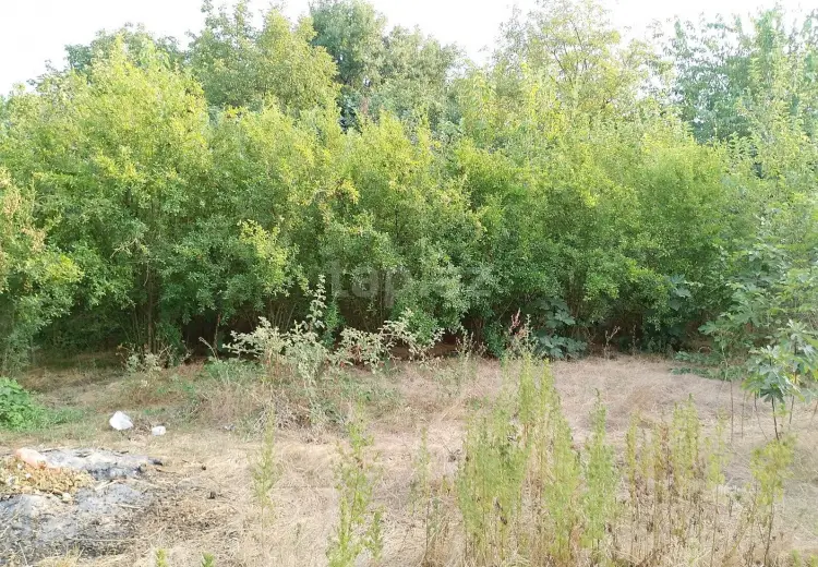 25 000 AZN - 0 m² Obyekt / Ofis , Bərdə