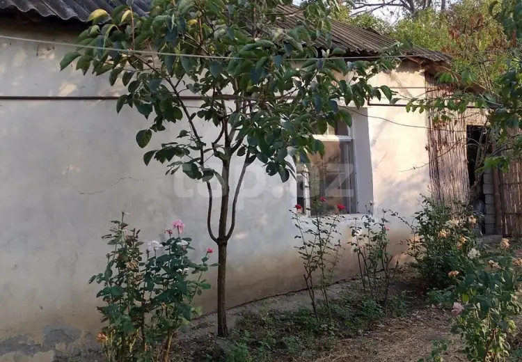 25 000 AZN - 0 m² Obyekt / Ofis , Bərdə