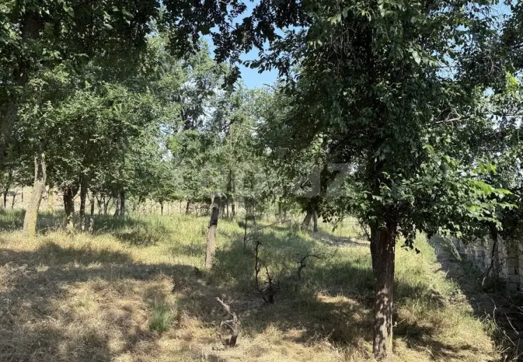 186 000 AZN - 0 m² Obyekt / Ofis , Şabran