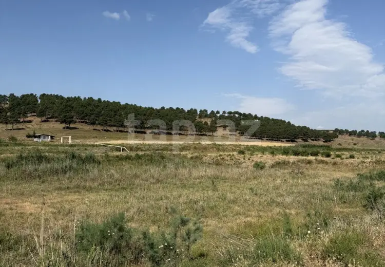 186 000 AZN - 0 m² Obyekt / Ofis , Şabran