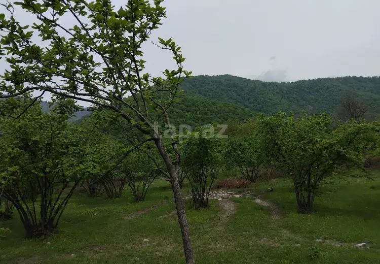 230 000 AZN - 0 m² Obyekt / Ofis , Oğuz