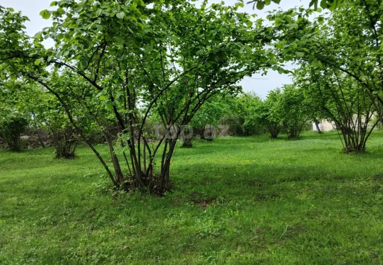 230 000 AZN - 0 m² Obyekt / Ofis , Oğuz