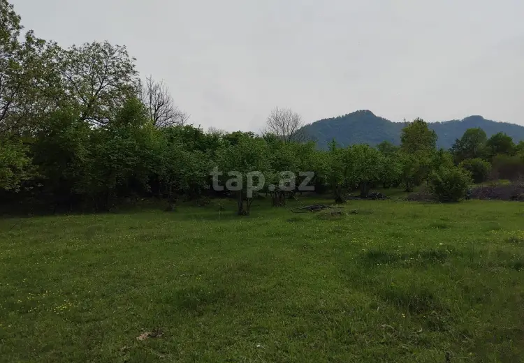 230 000 AZN - 0 m² Obyekt / Ofis , Oğuz