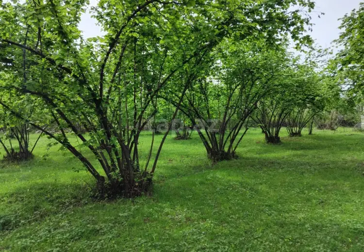 230 000 AZN - 0 m² Obyekt / Ofis , Oğuz