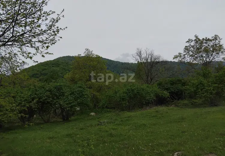 230 000 AZN - 0 m² Obyekt / Ofis , Oğuz