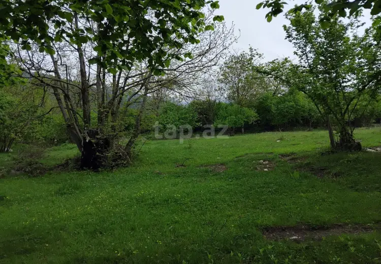 230 000 AZN - 0 m² Obyekt / Ofis , Oğuz