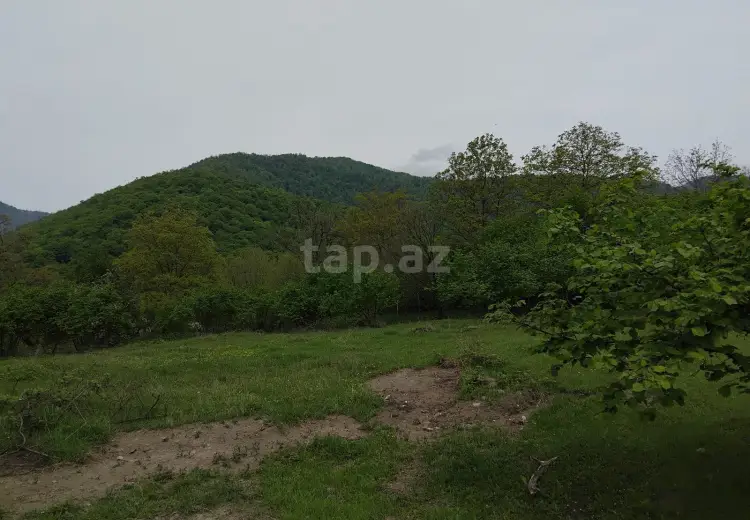 230 000 AZN - 0 m² Obyekt / Ofis , Oğuz