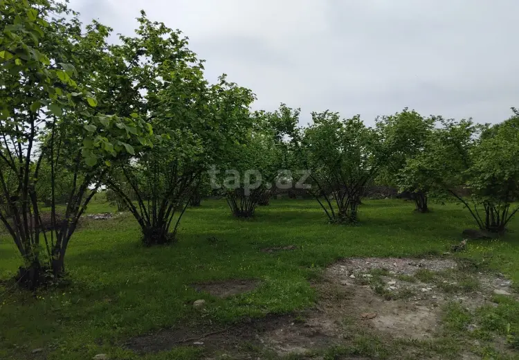 230 000 AZN - 0 m² Obyekt / Ofis , Oğuz