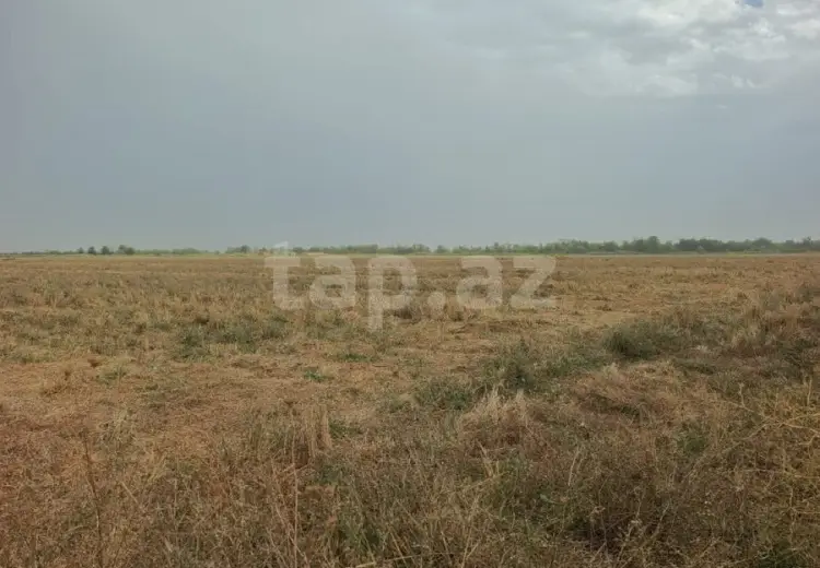 399 000 AZN - 0 m² Obyekt / Ofis , Yevlax