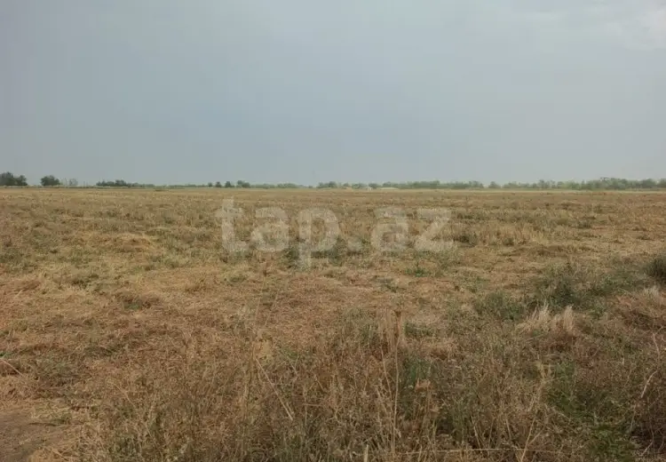 399 000 AZN - 0 m² Obyekt / Ofis , Yevlax