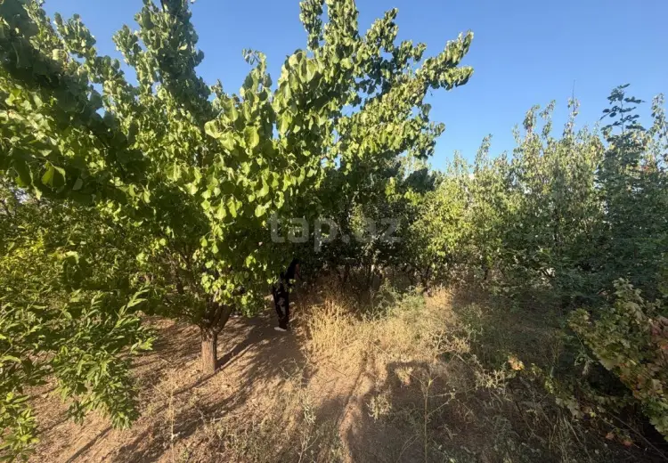 61 000 AZN - 5 otaqlı mənzil , Samux
