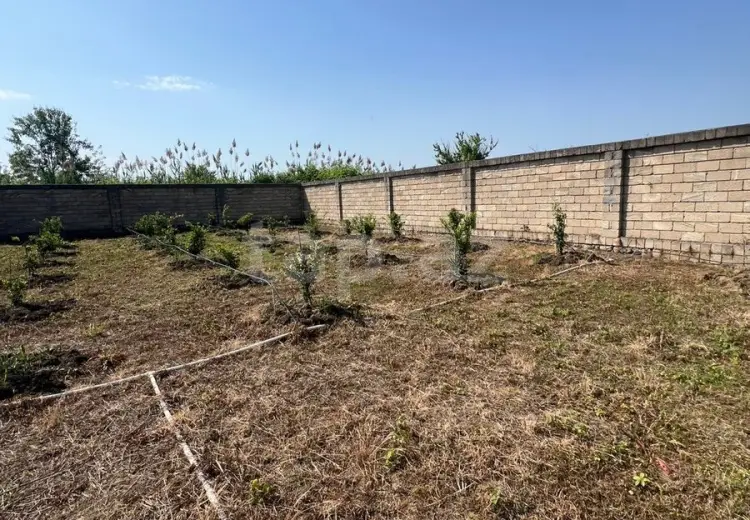 40 000 AZN - 0 m² Obyekt / Ofis , Lənkəran