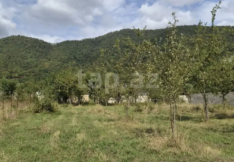 16 000 AZN - 0 m² Obyekt / Ofis , Qəbələ
