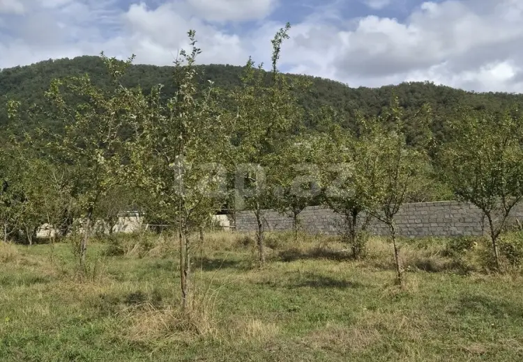 16 000 AZN - 0 m² Obyekt / Ofis , Qəbələ