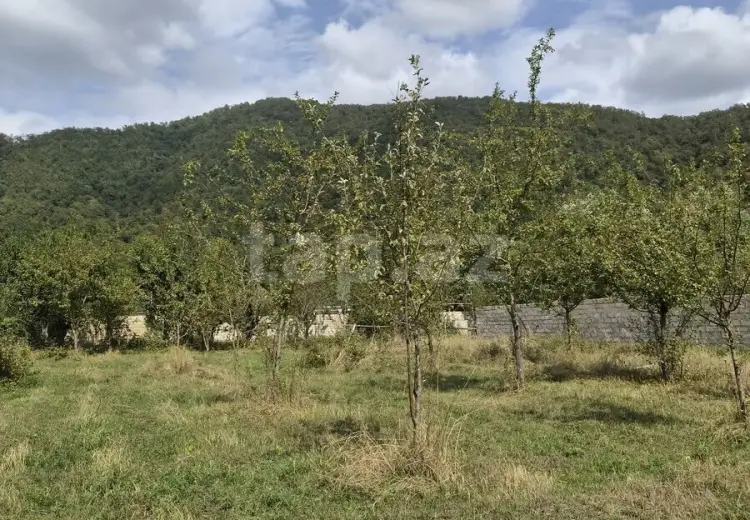 16 000 AZN - 0 m² Obyekt / Ofis , Qəbələ