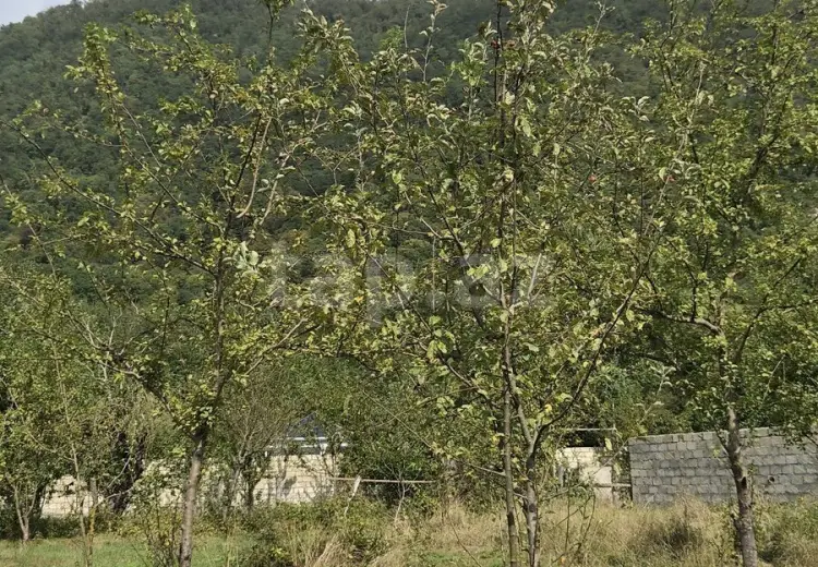 16 000 AZN - 0 m² Obyekt / Ofis , Qəbələ