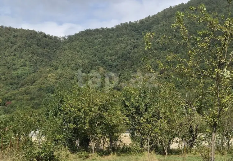 16 000 AZN - 0 m² Obyekt / Ofis , Qəbələ