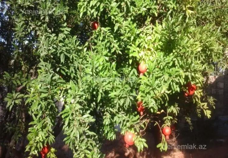 115 000 AZN - 3 otaqlı mənzil Satılır, Novxanı, Abşeron