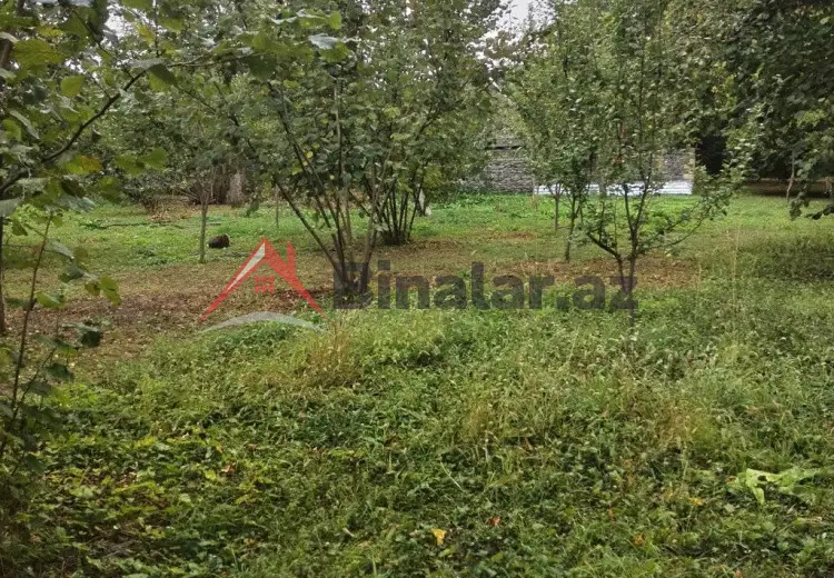 3 600 AZN - 31 sot Torpaq Satılır, Qəbələ