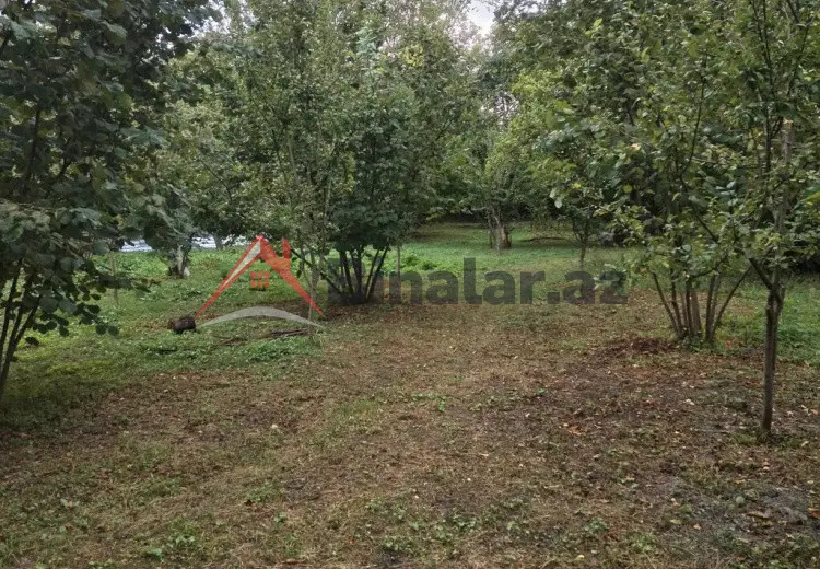3 600 AZN - 31 sot Torpaq Satılır, Qəbələ